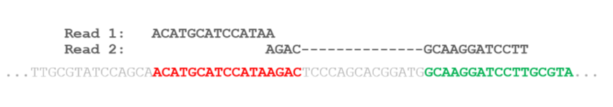 An example of how a RNA nucleotide sequence might align with a genome