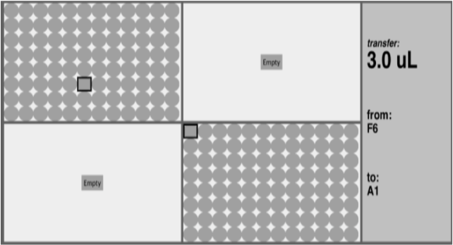 A diagram of a microplate (a rectangle with many smaller wells) and instructions to transfer liquid